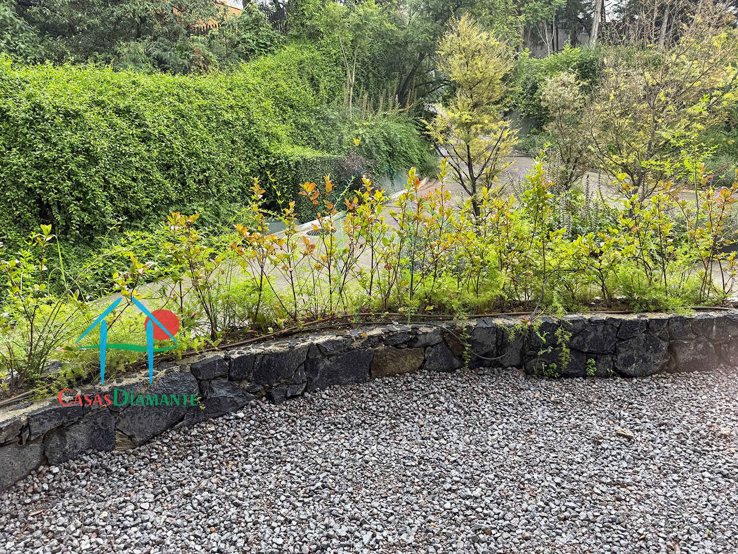 Desierto de los Leones Acanto AJA1 - Recámara dos 5